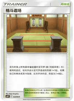 Martial Arts Dojo