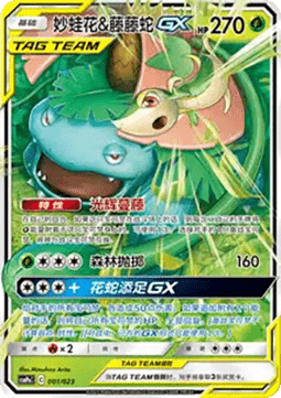 Venusaur & Snivy GX