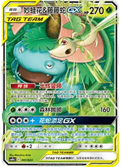 Venusaur & Snivy GX