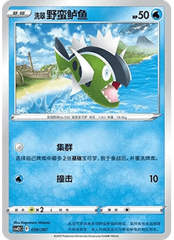 胖丁