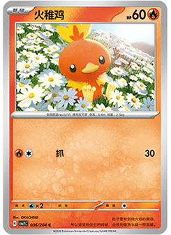 Torchic