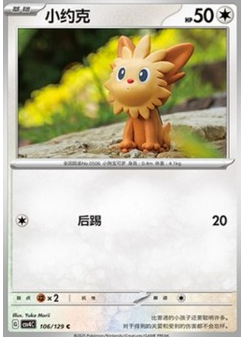 Lillipup