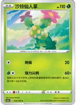Maractus