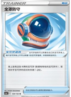 Full Face Guard