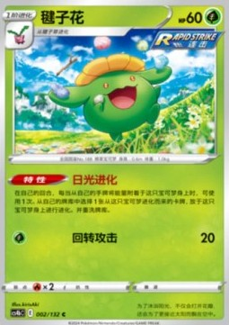 Skiploom