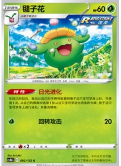 Skiploom