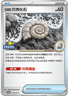 Antique Helix Fossil