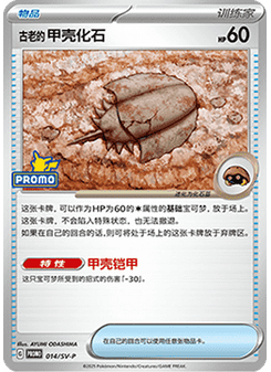 Antique Dome Fossil
