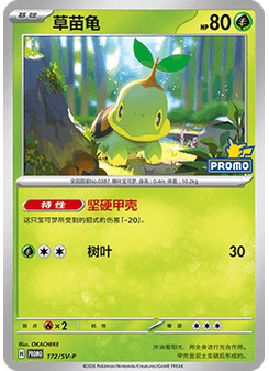Turtwig