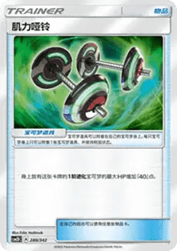 Bodybuilding Dumbbells
