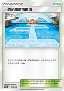 Misty’s Cerulean City Gym