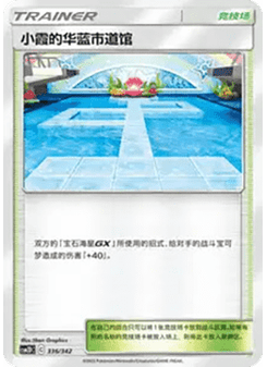 Misty’s Cerulean City Gym