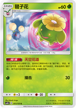 Skiploom