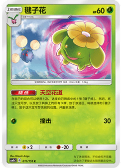 Skiploom