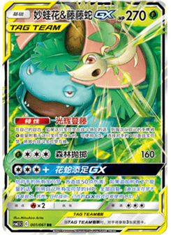 Venusaur & Snivy GX