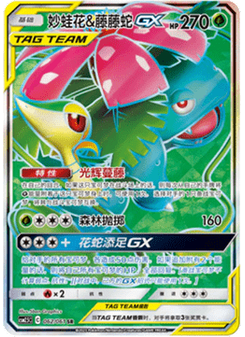 Venusaur & Snivy GX