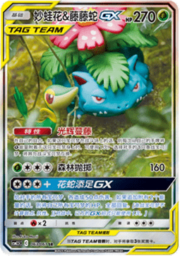 Venusaur & Snivy GX