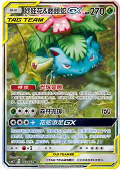 Venusaur & Snivy GX