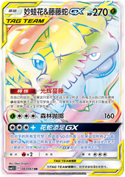 Venusaur & Snivy GX