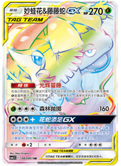 Venusaur & Snivy GX