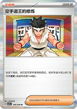 Black Belt's Training