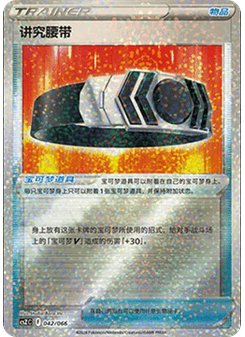 Choice Belt