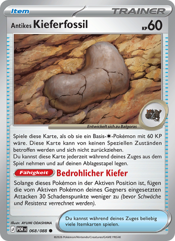 Antikes Kieferfossil