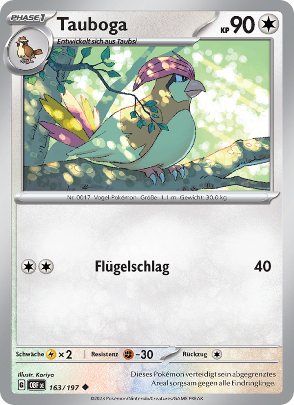 Tauboga