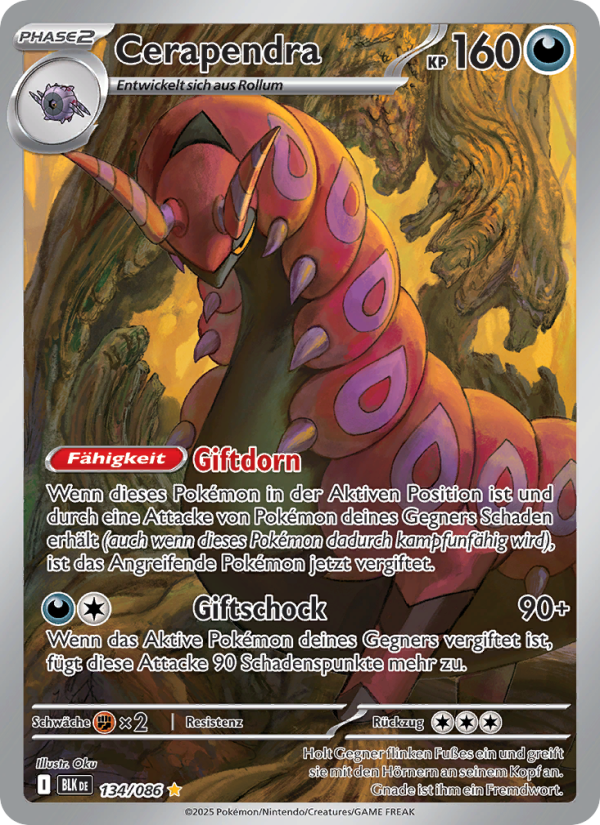 Cerapendra