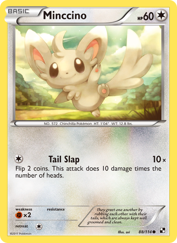 Minccino from Black & White