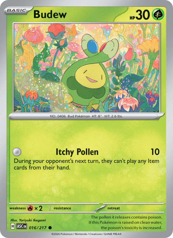 Budew from Ascended Heroes