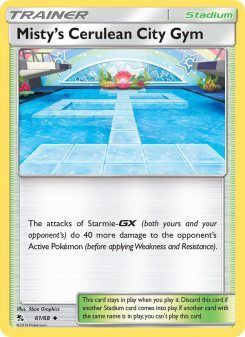Misty’s Cerulean City Gym