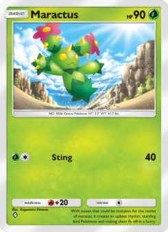 Maractus