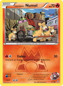 Numel da Equipe Magma