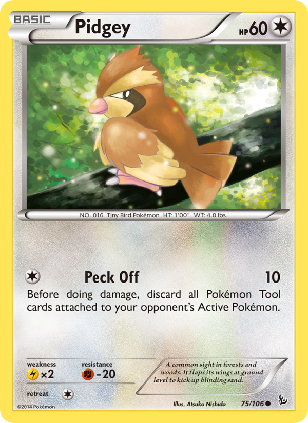 Pidgey from Flashfire