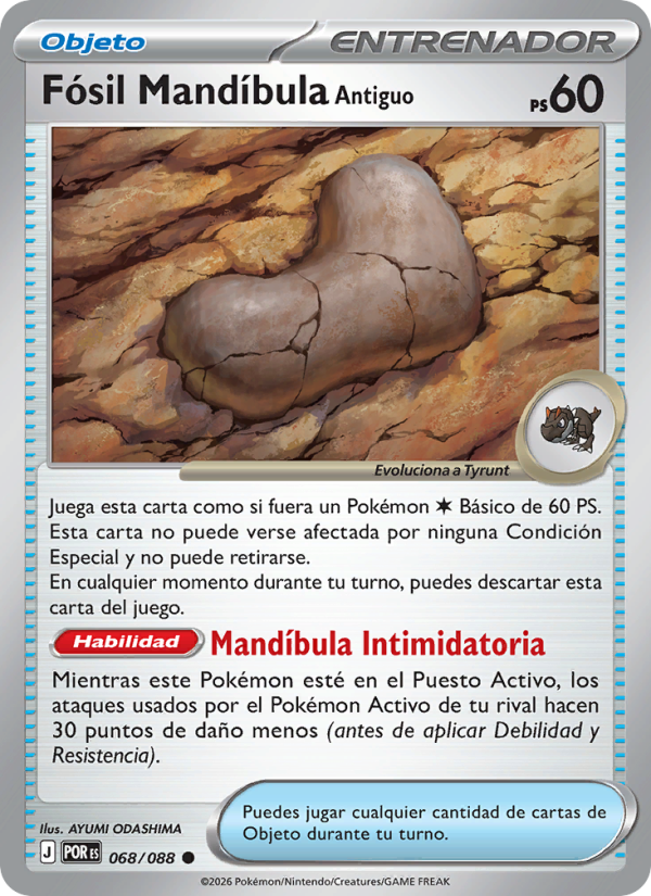 Fósil Mandíbula Antiguo
