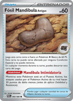 Fósil Mandíbula Antiguo