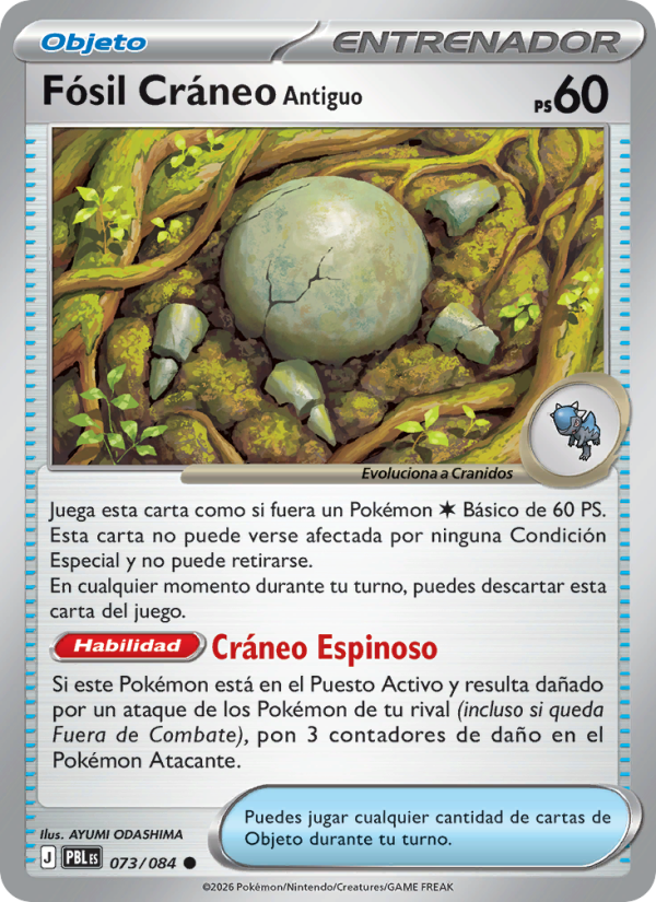Fósil Cráneo Antiguo