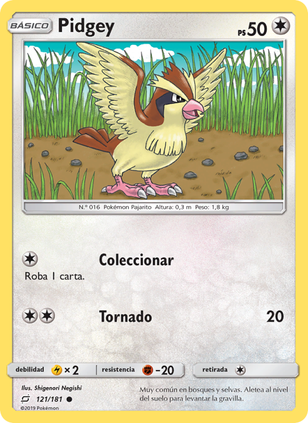 Pidgey