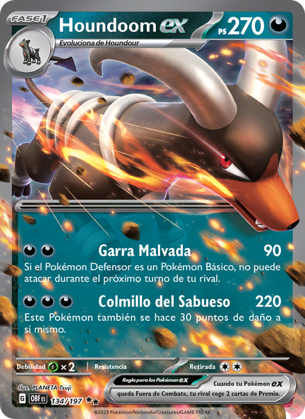 Houndoom ex