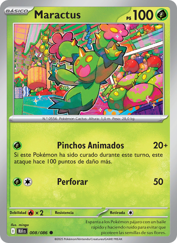 Maractus