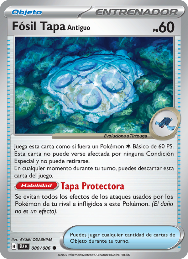 Fósil Tapa Antiguo from Fulgor Negro