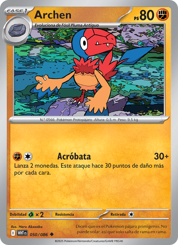 Archen