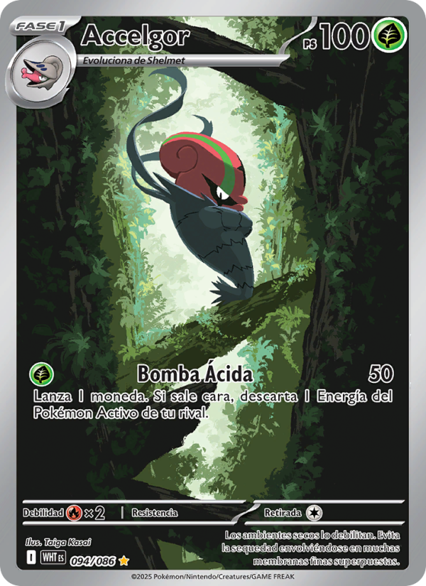 Accelgor