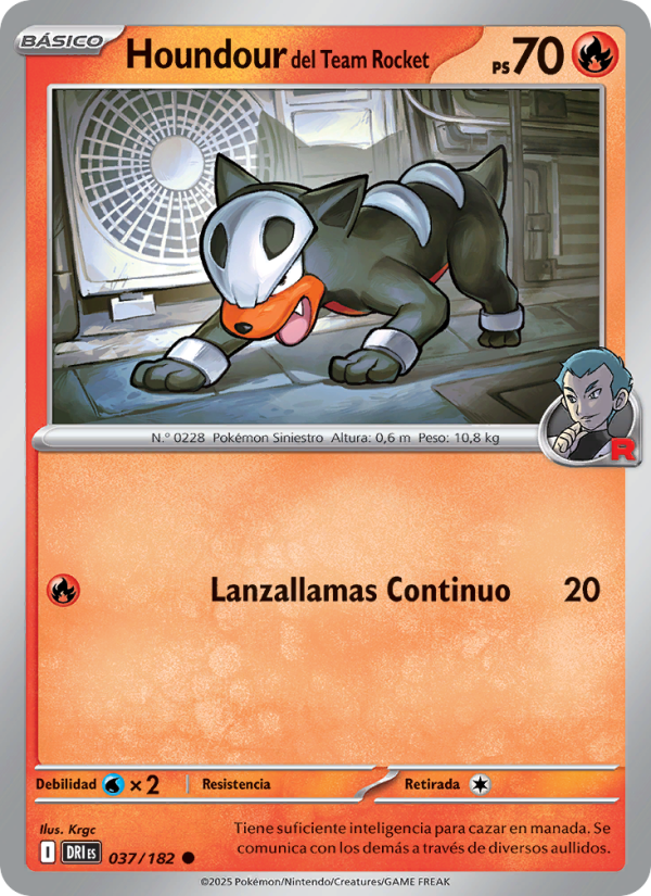 Houndour del Team Rocket