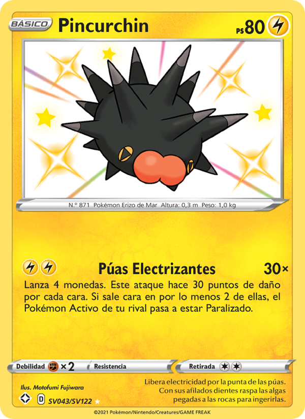 Pincurchin from Destinos Brillantes