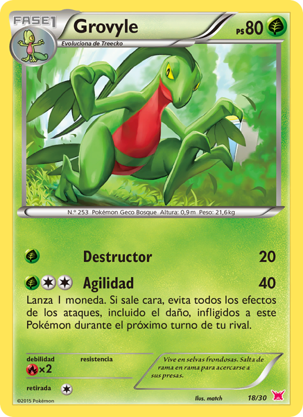 Grovyle from Kit de Entrenador XY (Latias)