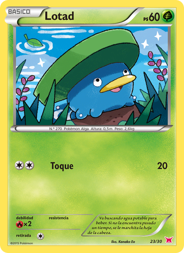 Lotad from Kit de Entrenador XY (Latias)