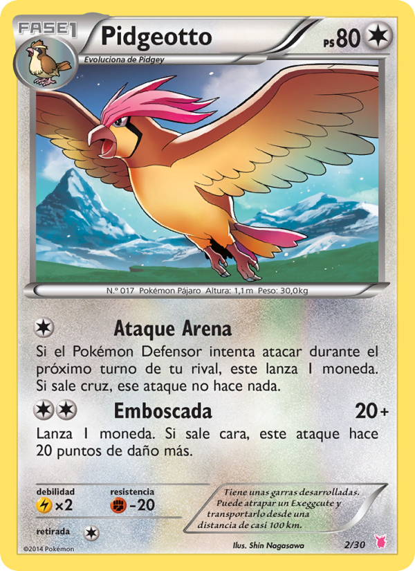 Pidgeotto from Kit de Entrenador XY (Wigglytuff)