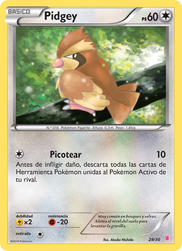 Pidgey from Kit de Entrenador XY (Wigglytuff)